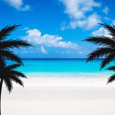 20oz Beach Thumbnail